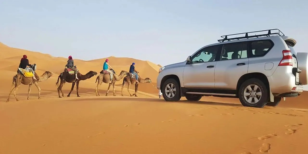 Top-rated experiences