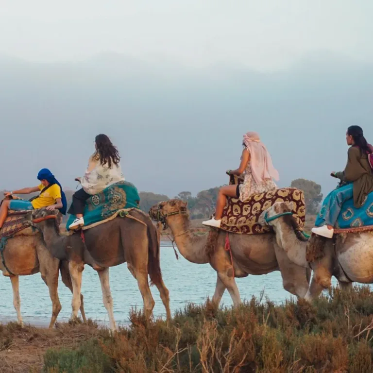 Taghazout Camel Ride in Agadir, Morocco