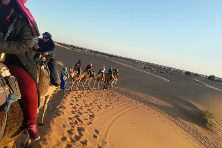 Camel Ride & BBQ from Taghazout in Agadir, Morocco