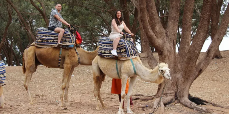 Taghazout Camel Ride in Agadir, Morocco