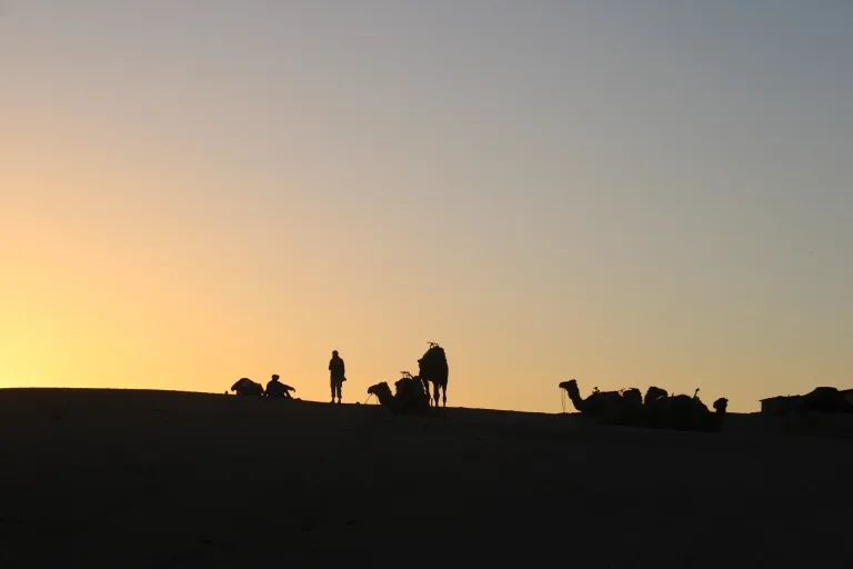 Taghazout Camel Ride in Agadir, Morocco