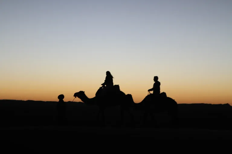 Taghazout Camel Ride in Agadir, Morocco