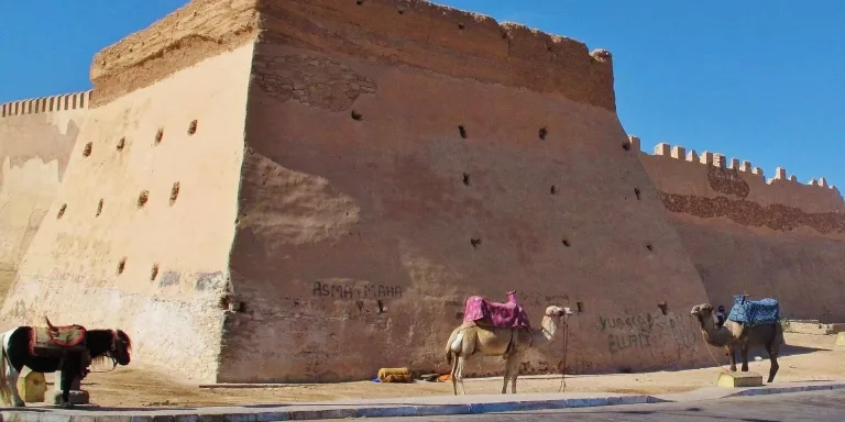 Taghazout to Agadir City Tour in Agadir, Morocco