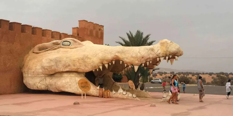 Crocoparc from Taghazout in Agadir, Morocco