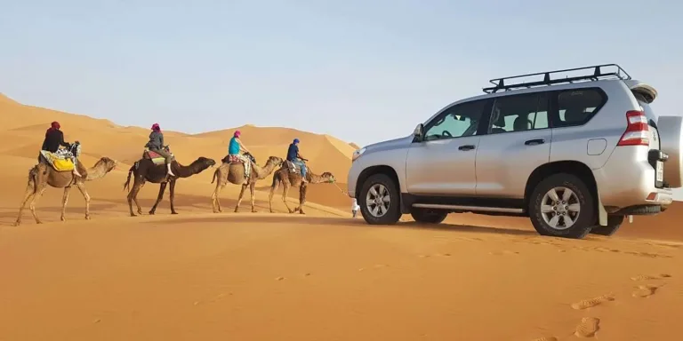 Mini Sahara Desert Tour in Agadir, Morocco