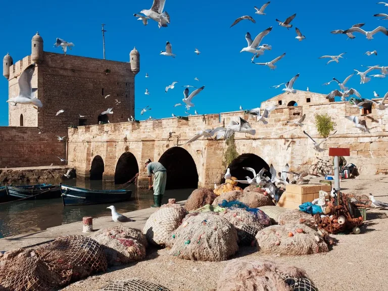Essaouira from Taghazout in Agadir, Morocco