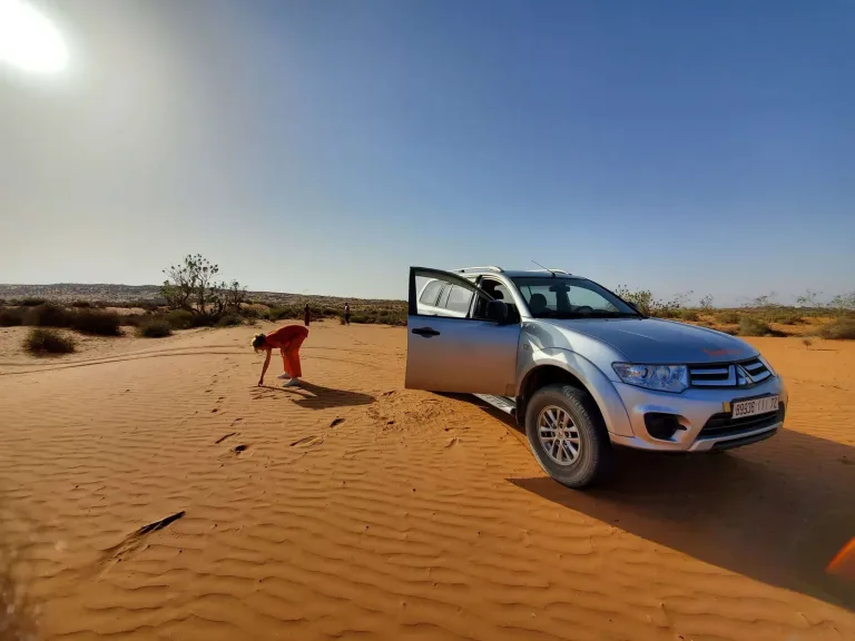 Mini Sahara Desert Tour in Agadir, Morocco