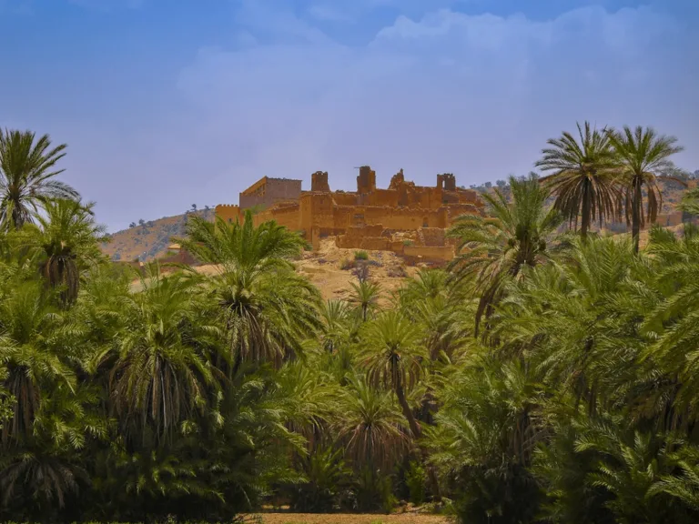 Taroudant & Tiout from Taghazout in Agadir, Morocco